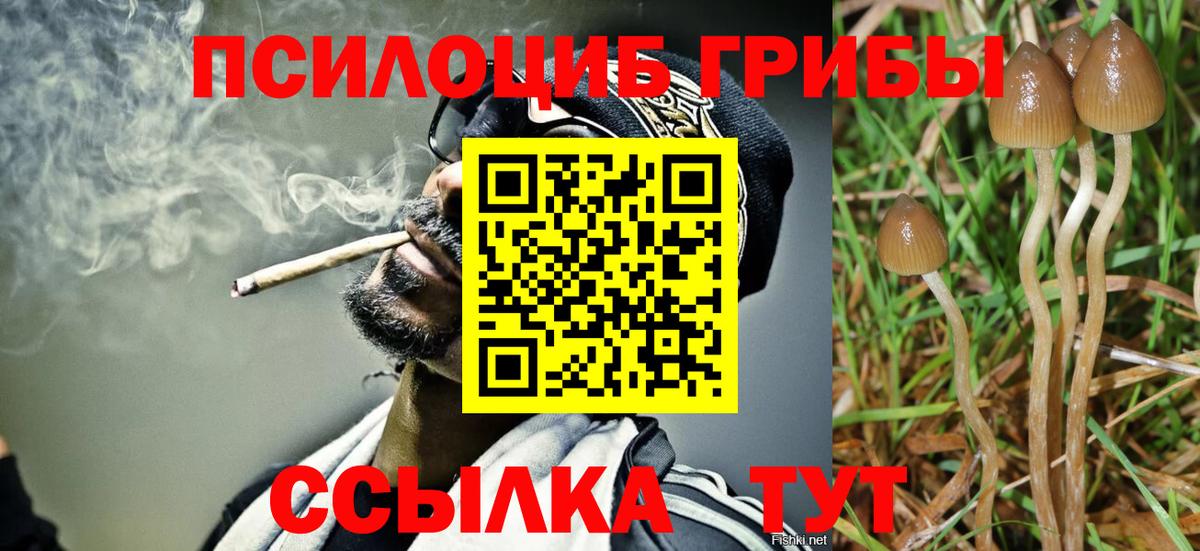 Галлюциногенные грибы Cubensis Шадринск